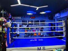 -M.S拳击泰拳馆(大学路店)