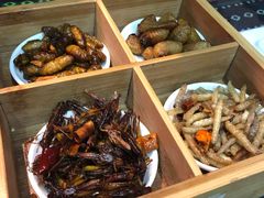 -昆虫窝子·特色云南菜(拓东路总店)