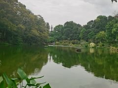 -深圳仙湖植物园