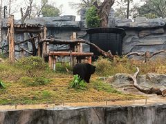 -武汉动物园