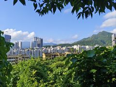 -梧桐山风景名胜区