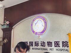 -宠爱国际动物医院·疑难骨科·心肾内科·皮肤科(太阳宫店)