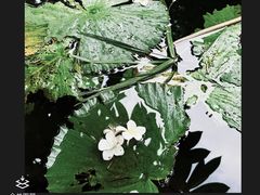 -晓港公园