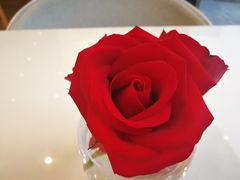 -PETIT PARIS 小巴黎(凯德1818店)