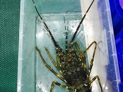 -QQ海鲜餐厅