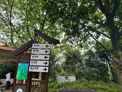 -大雁山风景区