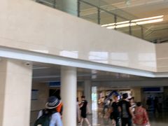 -首都医科大学附属北京天坛医院