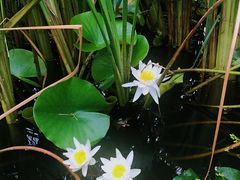 -门城湖公园