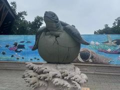 -广东惠东海龟国家级自然保护区