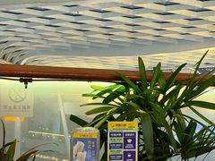 -润园四季椰子鸡火锅(海上世界店)