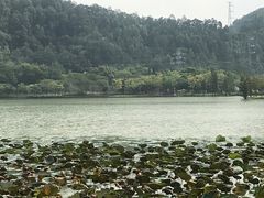 -顺峰山公园
