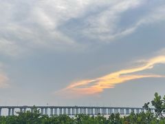 -宝安西湾红树林湿地公园