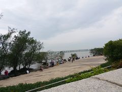 -宝安西湾红树林湿地公园