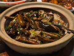 -凤来粤菜馆(珠江新城店)