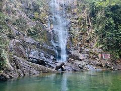 -鼎湖山风景区