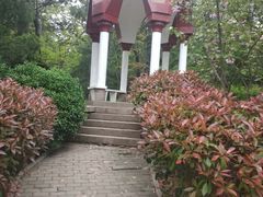 -观象山公园