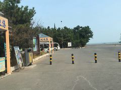 -日照海滨国家森林公园