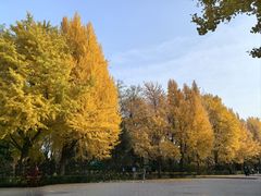 -玲珑塔公园