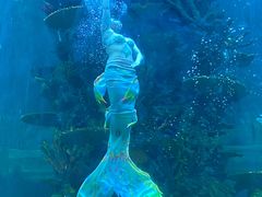 -青岛嘉年华主题乐园