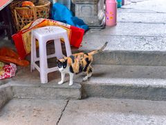 -司徒世家·兵马司林粽球(牌坊街店)