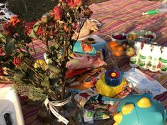 -艾溪湖湿地公园