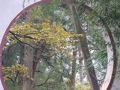 -昆明市金殿名胜区