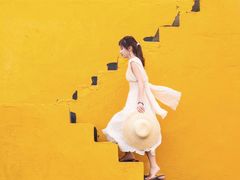 -枸杞岛