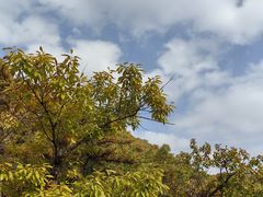 -天津盘山风景名胜区