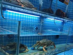 -鸽子侯·家宴·平价海鲜(市图书馆店)