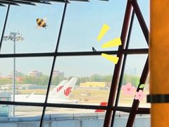 -首都机场t3-c国航两舱休息室