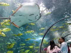 -洛阳龙门海洋馆