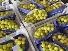 -西郊国际农产品交易中心