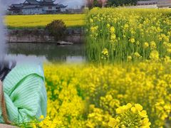 -三垟湿地