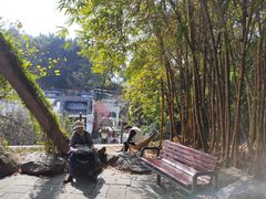 -乌山风景区