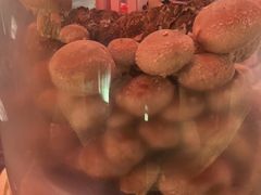-捞王猪肚鸡火锅(金华义乌之心店)