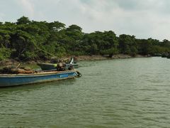-东寨港红树林旅游区