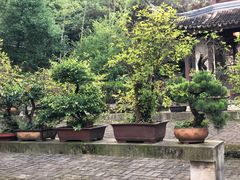-木子山庄·安徽省老字号·中国炖锅宴