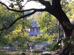 -叶家花园