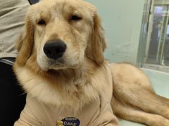 -怪兽屋·羊驼·猫咖·狗咖(俊华广场店)