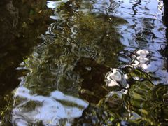 -炊烟餐厅