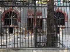 -保定市动物园