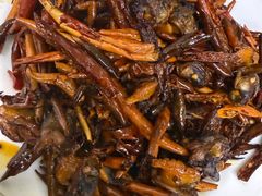 -西塔隆太白烤牛肉馆(图们路店)