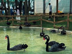 -南戴河国际娱乐中心