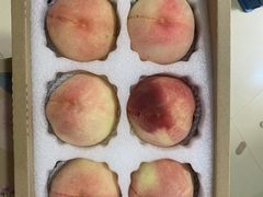 -老袁家蜜桃农场·阳山水蜜桃