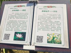 -东莞植物园