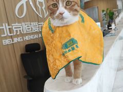 -北京恒爱动物医院(清景园分院)