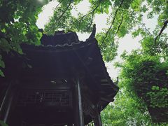 -朴园