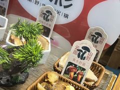 -菌彩云南野生菌火锅(新亚洲店)
