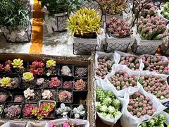 -循礼门鲜花花市(武汉循礼门店)