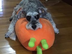 -安安宠医·安宠宠物医院